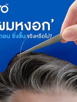 ผมหงอก ยิ่งถอน ยิ่งขึ้น จริงหรือไม่?