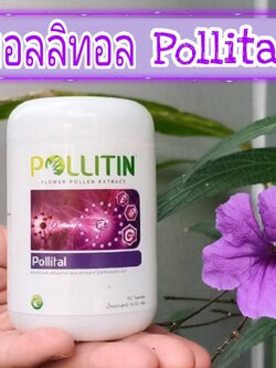 พอลลิทอล Pollital (สีม่วง)