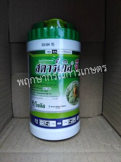 สตาร์เกิล จี 250 กรัม