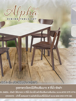 ชุดอาหารหิน 4 ที่นั่ง อัลฟ่า