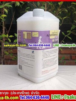 น้ำยารองพื้นเคลือบเงา