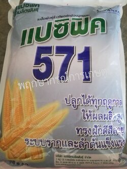 แปซิฟิก 571