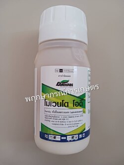 โมเวนโต โอดี