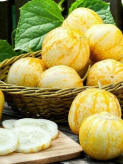 แตงกวา คริสตอล แอปเปิ้ล (Cucumber - Crystal Apple) / 20 เม็ด (UK)