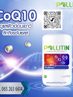พอลลิเท็น Polliten (CO Q10)