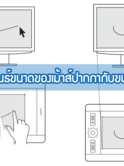 ความสัมพันธ์ขนาดของเม้าส์ปากกากับขนาดจอคอม