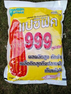 แปซิฟิก 999