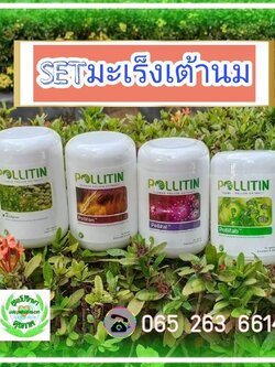 โรคมะเร็งเต้านม