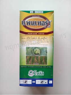 แพนเทอร่า 500 ซีซี