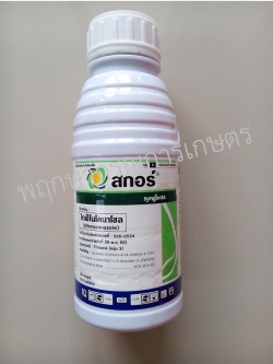 สกอร์ 500 ซีซี