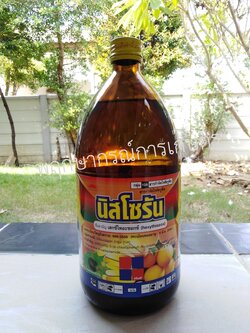 นิสโซรัน