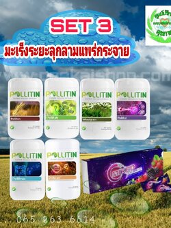 มะเร็ง เซ็ต 3 (ระยะลุกลาม)