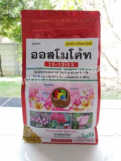 ออสโมโค้ท สูตร 13-13-13 (Osmocote)