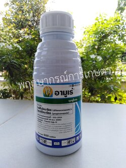 อามูเร่ 500 ซีซี