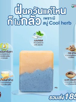 สบู่น้ำมันธรรมชาติ สูตรสมุนไพรเย็น ขนาด 90 กรัม Cool Herb Soap
