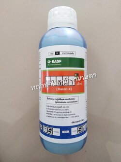 บาสต้า เอ็กซ์