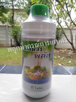 เกอมาร์ พลัส