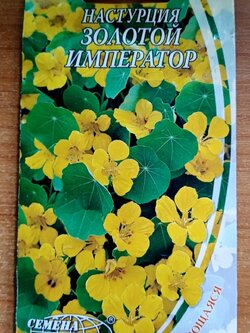 แนสเตอเตียม (Nasturtium - Golden imperator) สีเหลืองทอง / ซอง 1.5 กรัม (Ukraine)*