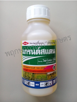 แกรนด์สแตน