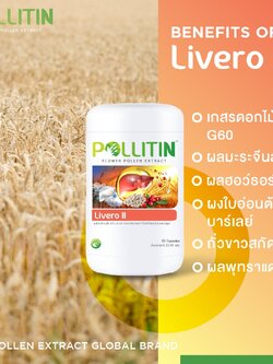 ลิเวอร์โร่ ทู Livero II