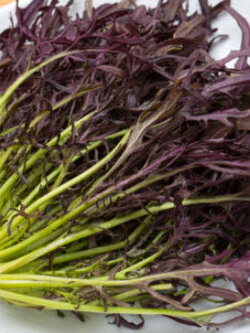 มิซูน่า (Mizuna) หรือมัสตาร์ดญี่ปุ่นแดง / 100 เม็ด (France)*