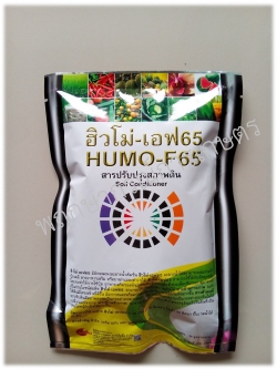 ฮิวโม่-เอฟ65