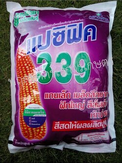 แปซิฟิก 339