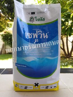 เซฟวิน 1 กิโลกรัม