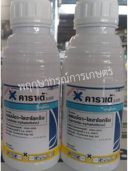 คาราเต้ 2.5 อีซี