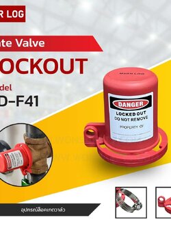 Plug Valve Lockout BD-F41