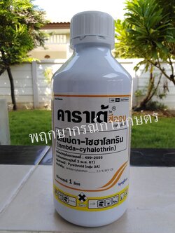 คาราเต้ ซีออน 1 ลิตร