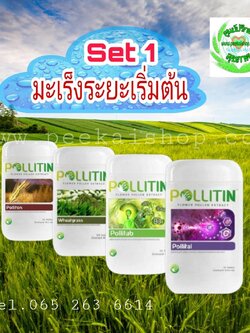 มะเร็ง เซ็ต 1 (ระยะเริ่มต้น)