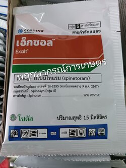 เอ็กซอล 15 ซีซี