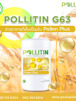 พอลเลน พลัส Pollen Plus (สีเหลือง)