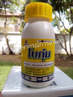 โบคุ่ม 100 ซีซี