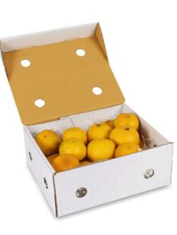 กล่องผลไม้รวม จุ 2 กก.