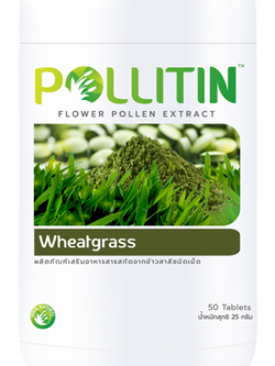 Wheatgrass (วีทกราส)