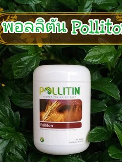 พอลลิตัน Polliton (สีน้ำตาล)