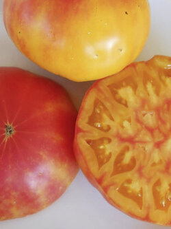 มะเขือเทศสับปะรดสีชมพู (Pink Pineapple Tomato) / 10 เม็ด (USA)