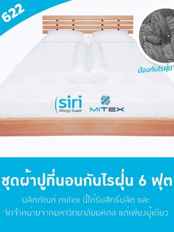ผ้าปูที่นอนกันไรฝุ่น 6 ฟุต (622) Big Set