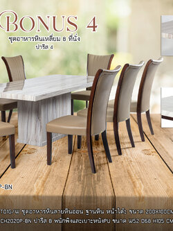 ชุดอาหารหิน 8 ที่นั่ง โบนัส 4