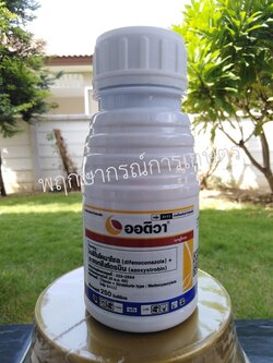 ออติวา 325 เอสซี 250 ซีซี