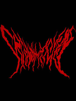 SRJ-S-004-DMT LOGO STICKERS