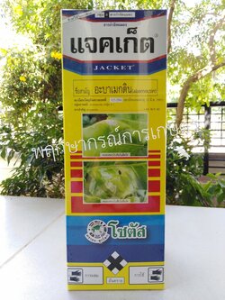 แจคเก็ต