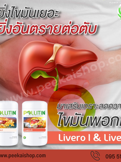 ตับอักเสบ / ไขมันพอกตับ