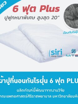 ผ้าปูที่นอนกันไรฝุ่น 6 ฟุต Plus ฟูกหนาสูงสุด 20 นิ้ว (ชิ้นเดียว)