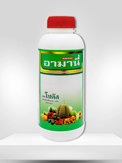 อามานี่