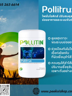 พอลลิทรักซ์ Pollitrux (สีฟ้า)