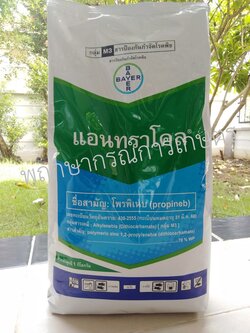 แอนทราโคล