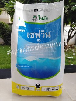 เซฟวิน 500 กรัม